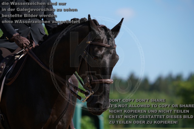 s_K3F05579.JPG